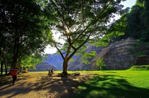 palenque 500px  Welcome to the Maya World by Marco Ramos - Google Chrome